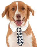 HOUNDSTOOTH TIE PET COSTUME