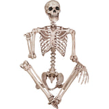 5 FT POSEABLE SKELETON