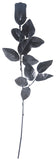 GRAY ROSES