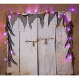 EERIE LIGHTS ASSORTMENT WITH GAUZE