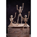 14" POSEABLE SKELETON