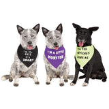 BLACK DOGGIE BANDANA PET COSTUME