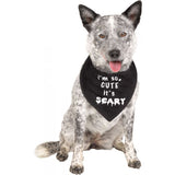BLACK DOGGIE BANDANA PET COSTUME
