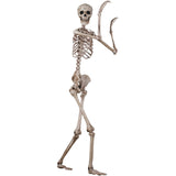 5 FT POSEABLE SKELETON