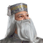 PLUS SIZE DELUXE DUMBLEDORE