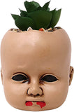 CREEPY DOLL HEAD SUCCULENT ASSORTMENT