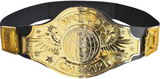 WORLD CHAMPIONSHIP BELT