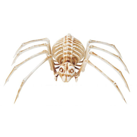 14" SKELE-SPIDER