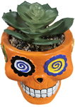 4.5" SUGAR SKULL SUCCULENT ASSORTMENT