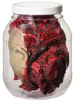 HEAD IN LABORATORY JAR