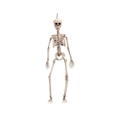 19" POSEABLE SKELETON