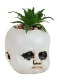 CREEPY DOLL HEAD SUCCULENT ASSORTMENT