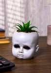 CREEPY DOLL HEAD SUCCULENT ASSORTMENT