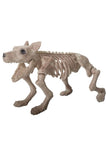 BONE SKELETON DOG