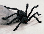 MEDIUM BLACK FURRY SPIDER