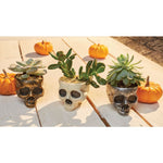 MINI SKULL PLANTER ASSORTMENT