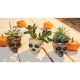 MINI SKULL PLANTER ASSORTMENT