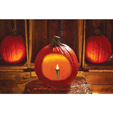 PUMPKIN CANDLE ASSORTMENT