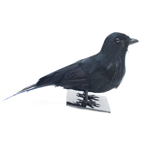Black Raven. This Little Skeleton Bird Not Only Is The Perfect Raven Decoration, But Also Has The Added Perk Of Being Adorable. This Gothic Decor Can Be Left Up Year-Round Or Just For Halloween.