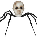 BABY HEAD SPIDER