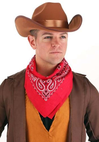 Brown Cowboy Hat Stetson