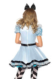 Alice in Wonderland Halloween Costume